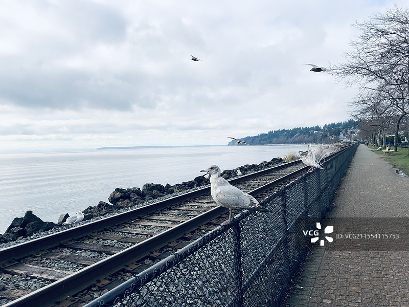 加拿大-温哥华（Canada-Vancouver）图片素材