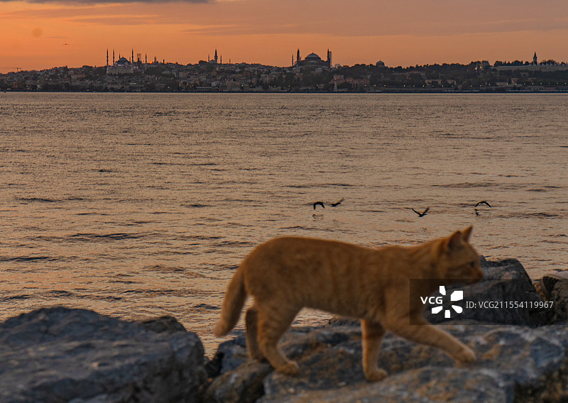 海边日落图片素材