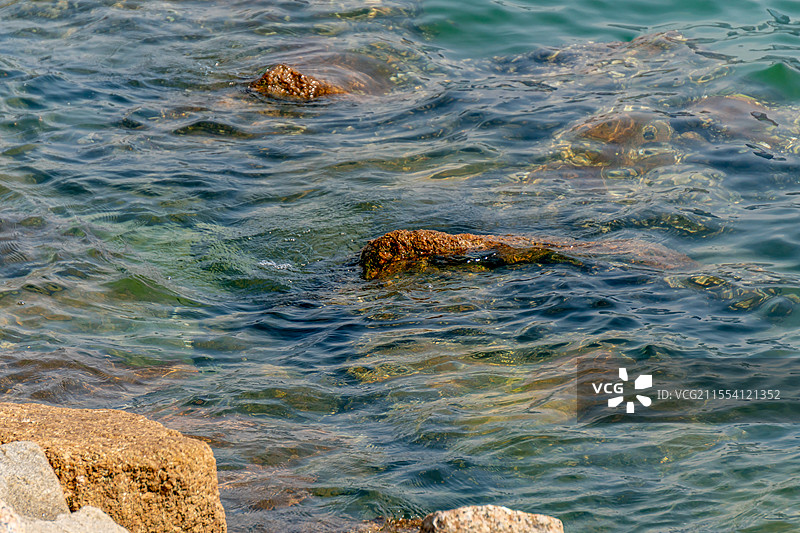 欢乐港湾图片素材