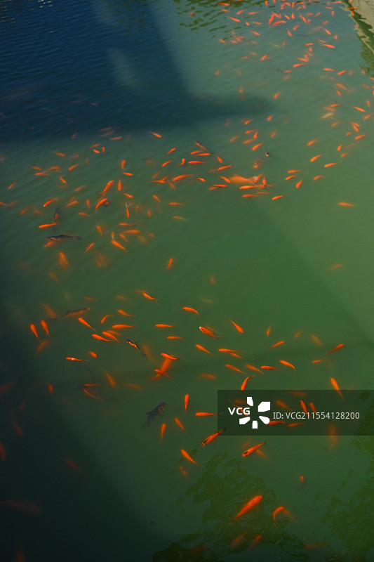 巴伐利亚庄园随拍图片素材