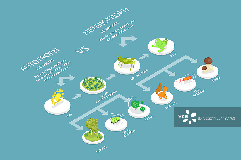 三维等距平面图图片素材