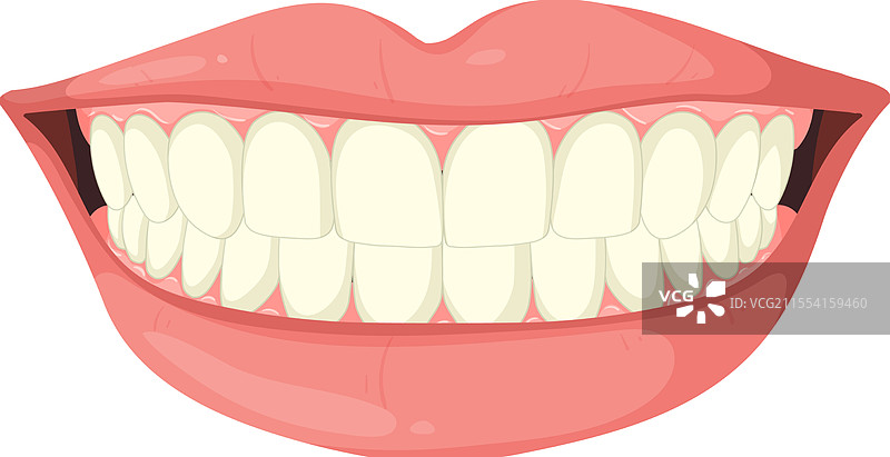 微笑的嘴巴露出牙齿图片素材
