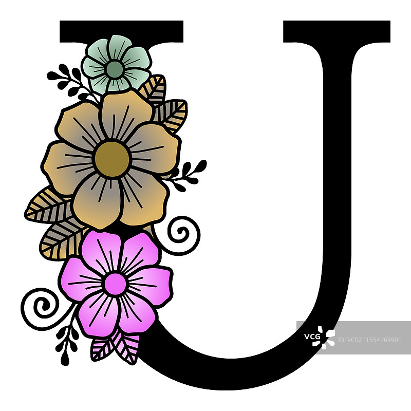 奢华花卉字母U图片素材