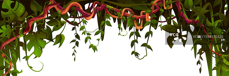 丛林藤蔓框架 - 由扭曲的藤蔓构成的边框图片素材