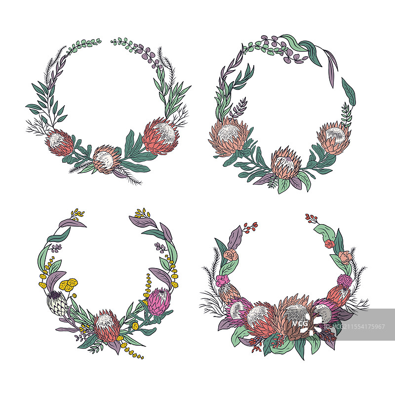 手绘彩色线条艺术热带凤梨花图片素材