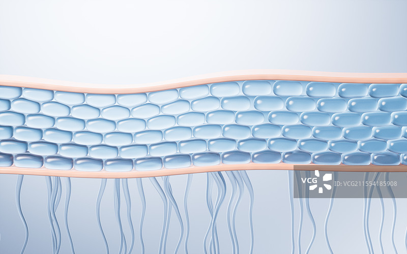 蓝色透明生物皮肤细胞三维渲染图片素材