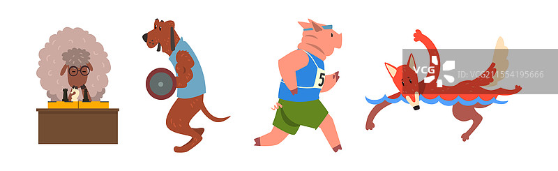 搞笑动物在健身房进行运动活动系列图片素材