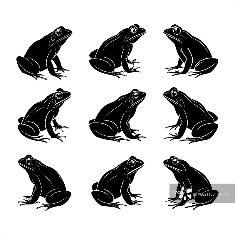 青蛙剪影图片素材