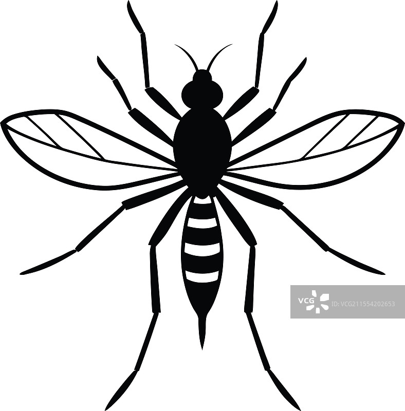 蚊子剪影图片素材