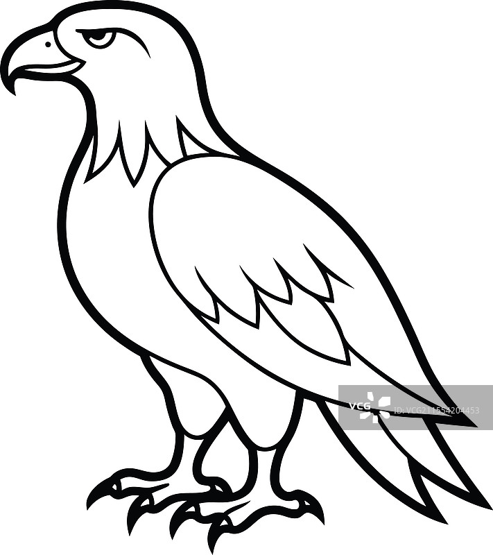 站立的鹰 鹰的剪影图片素材