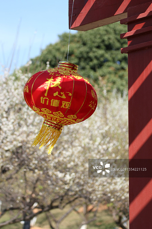 红红灯笼高高挂图片素材