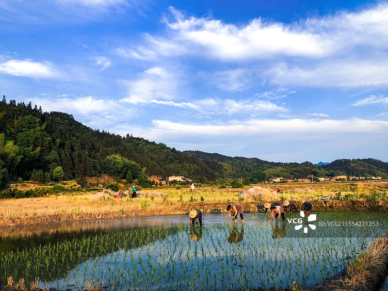 春耕农忙图片素材