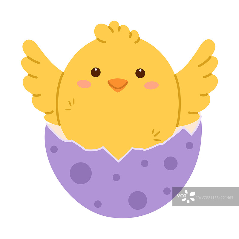 小鸡从破裂的复活节彩蛋中孵化出来图片素材