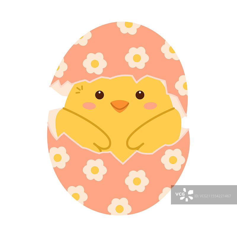 小鸡从破裂的复活节彩蛋中孵化出来图片素材