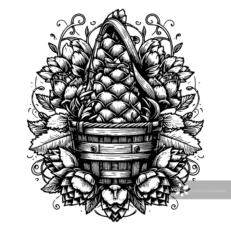 啤酒花植物叶子的雕刻图案图片素材