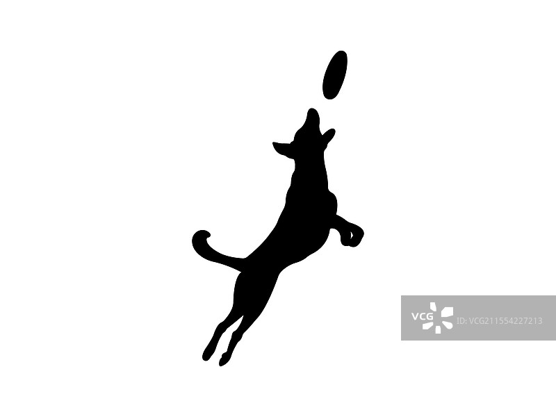 狗的剪影在跳跃接飞盘图片素材