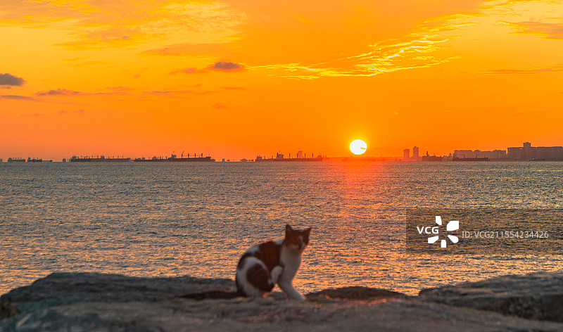 海边日落图片素材