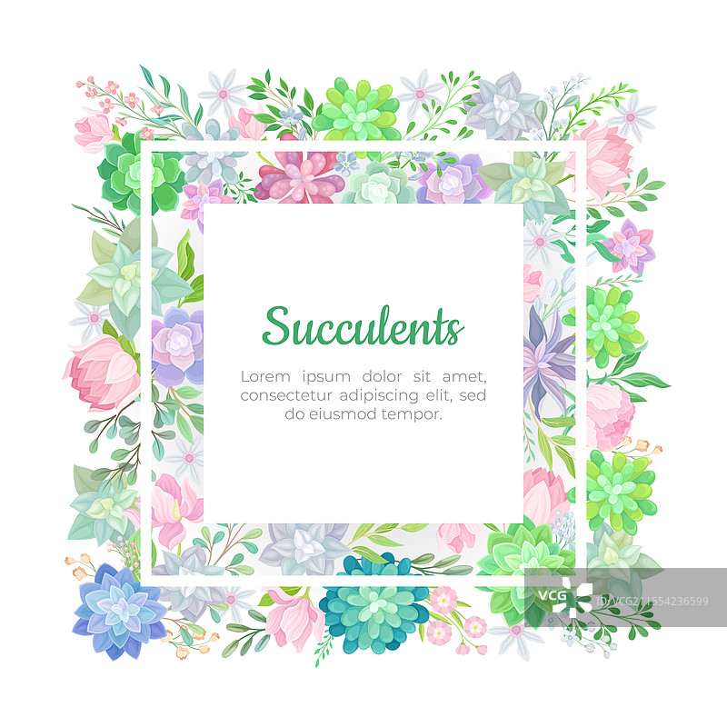 多肉植物的肉质绿色植物横幅设计图片素材