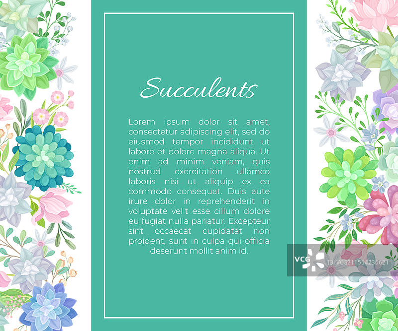 多肉植物的肉质绿色植物横幅设计图片素材