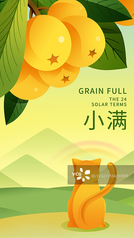 二十四节气之夏天小满枇杷树下的小猫背影图片素材