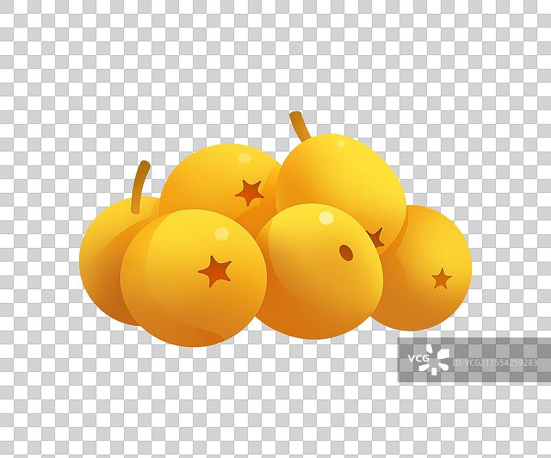 枇杷水果插画元素图片素材