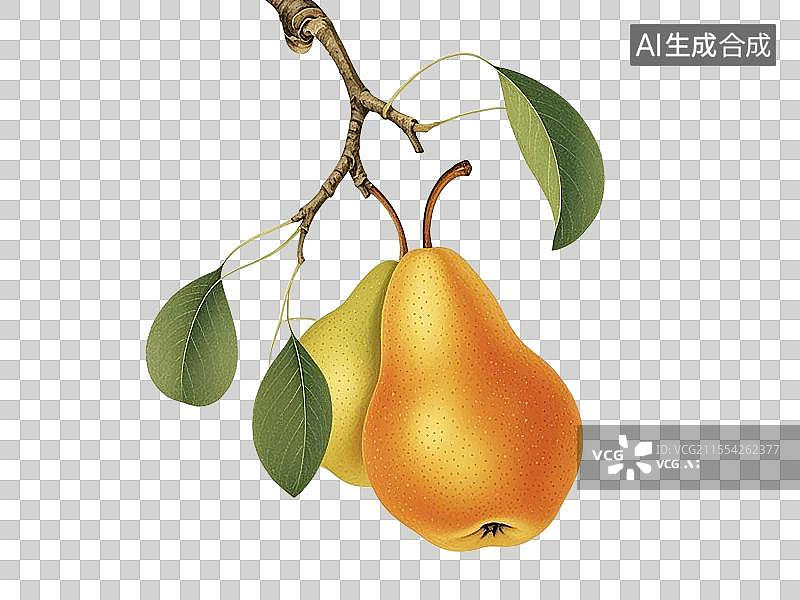 【AI数字艺术】库尔勒香梨，手绘画风格图片素材