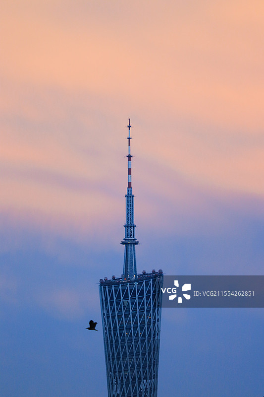 广州塔图片素材