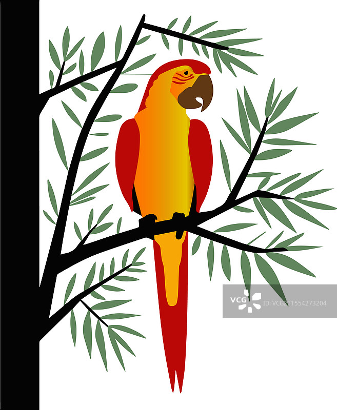 一只平面色彩的鹦鹉图片素材