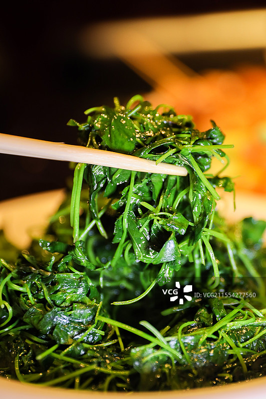 草头酒香草头上海美食本帮菜蔬菜时令蔬菜春天春菜野菜图片素材