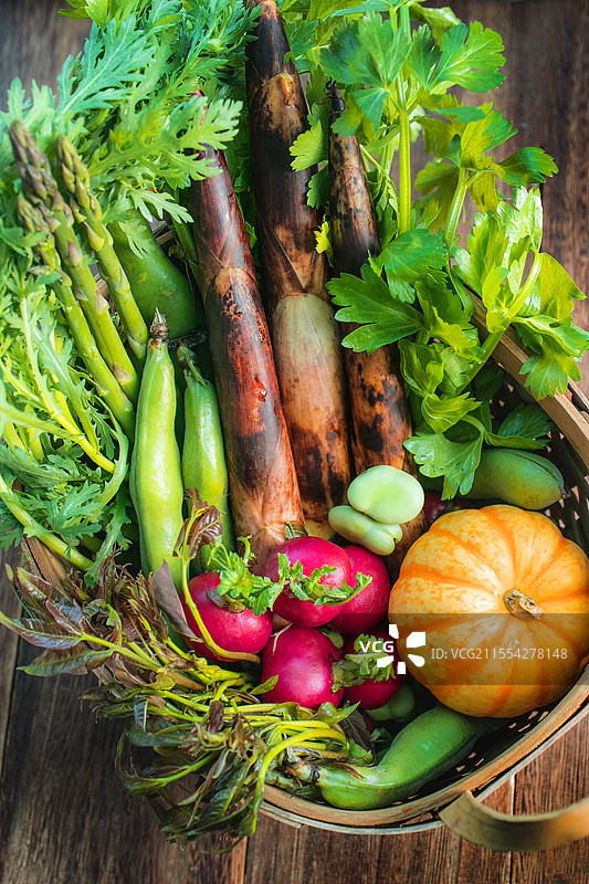时令蔬菜新鲜蔬菜野菜春天美食时令时蔬蚕豆春笋南瓜香椿芦笋茼蒿蒜苔萝卜苦瓜空心菜黄瓜家常蔬菜节气风物图片素材
