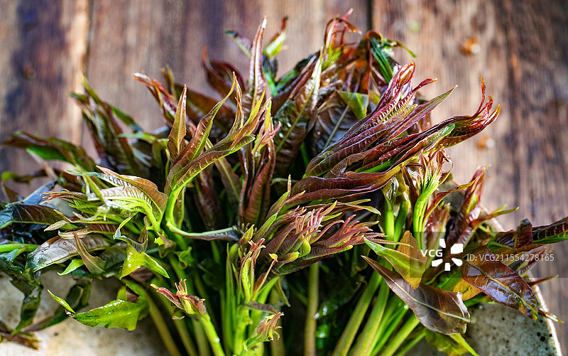 时令蔬菜新鲜蔬菜野菜春天美食时令时蔬蚕豆春笋南瓜香椿芦笋茼蒿蒜苔萝卜苦瓜空心菜黄瓜家常蔬菜节气风物图片素材