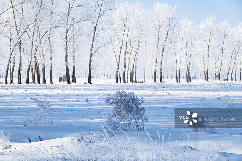 中国东北寒冷乡村雾凇道路图片素材