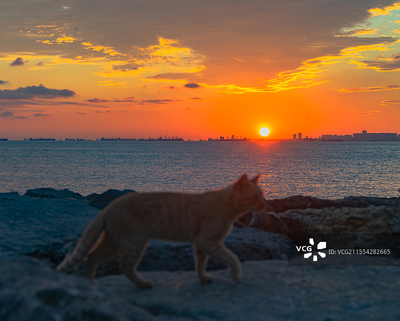 海边日落图片素材