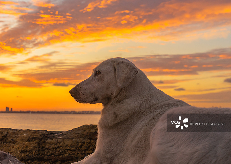 海边日落图片素材