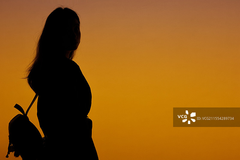 参观上海博物馆埃及展的游客剪影图片素材