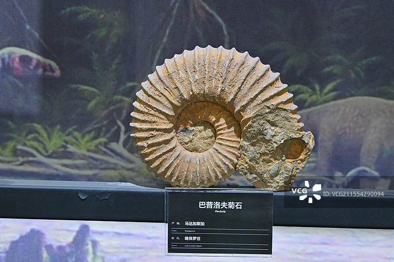 莱阳地质公园化石图片素材