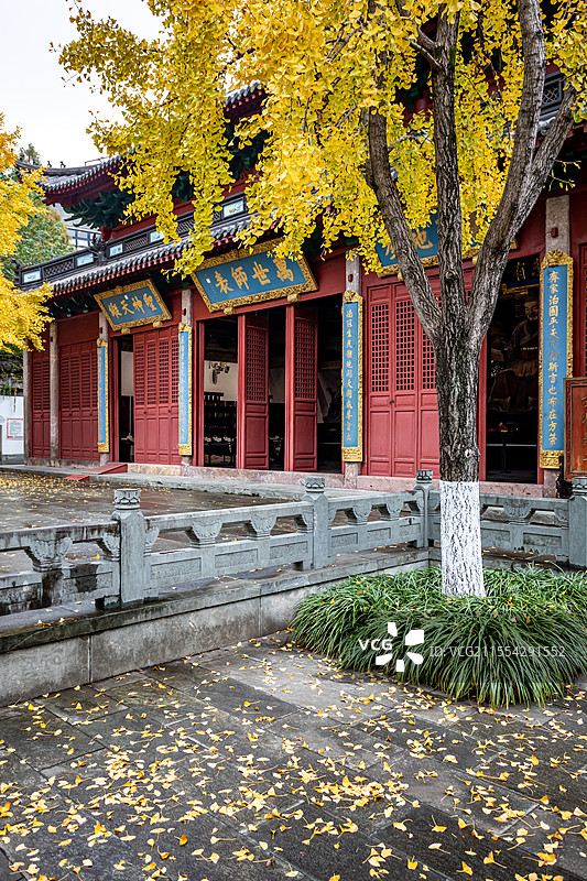 秋天银杏黄叶背景中的浙江杭州孔庙大成门棂星门大成殿泮水桥建筑秋色景观图片素材