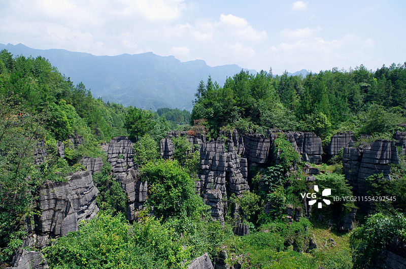 恩施梭布垭石林远景图片素材