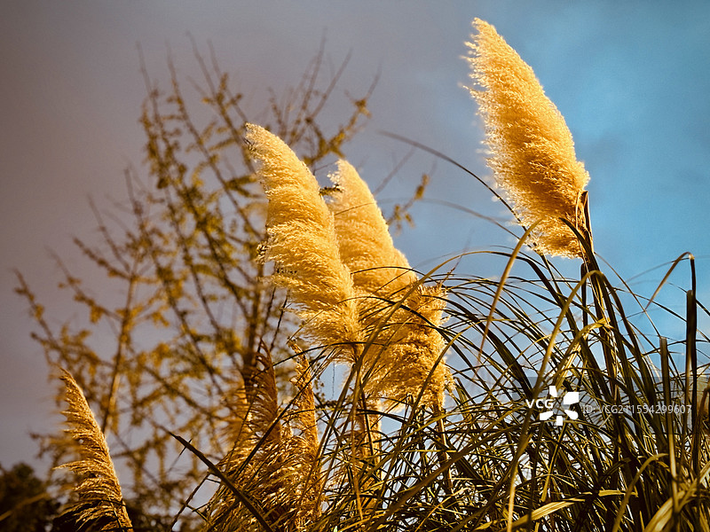 风雨欲来图片素材