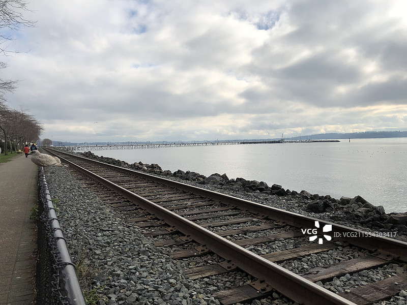 加拿大-温哥华（Canada-Vancouver）图片素材