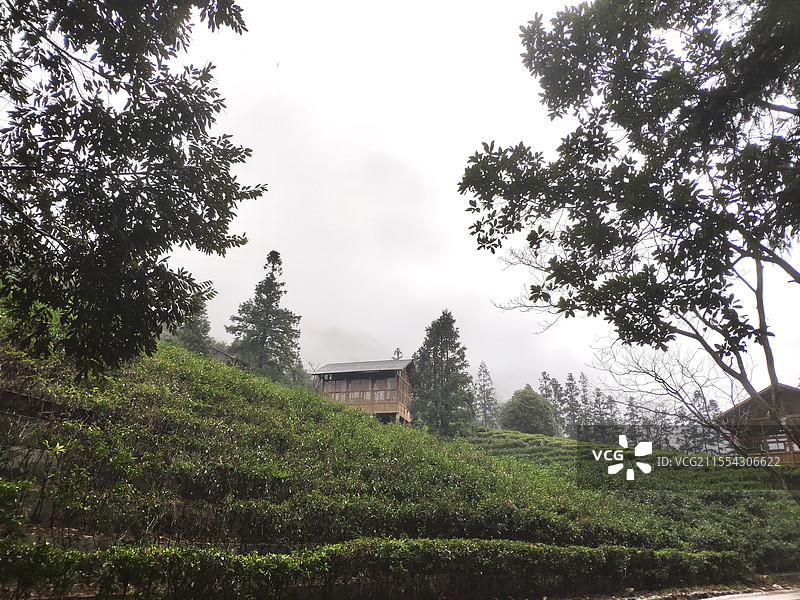 贺州姑婆山的方家茶园景区图片素材