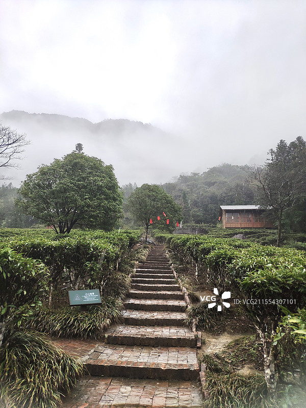 贺州姑婆山的方家茶园景区图片素材