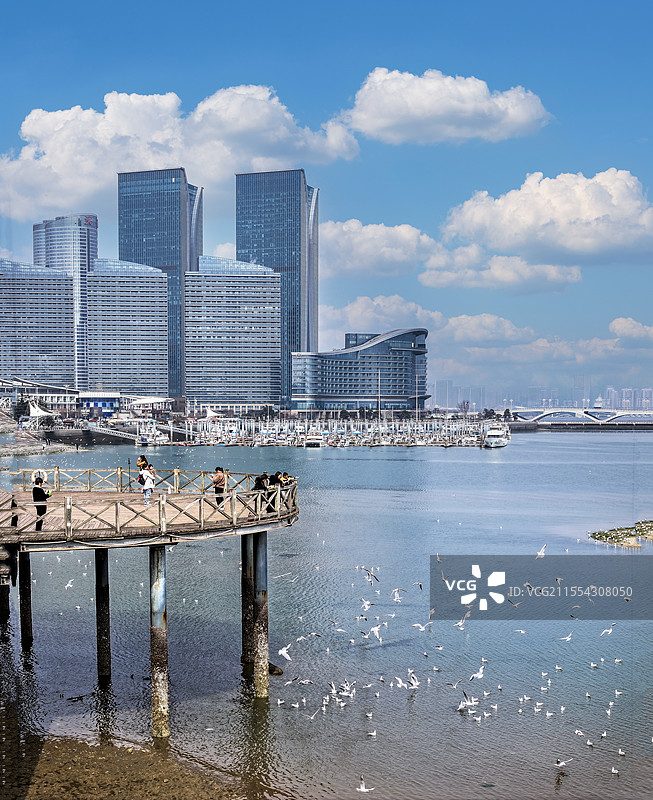 日照世帆赛基地：与海鸥共舞的蓝天白云之旅图片素材