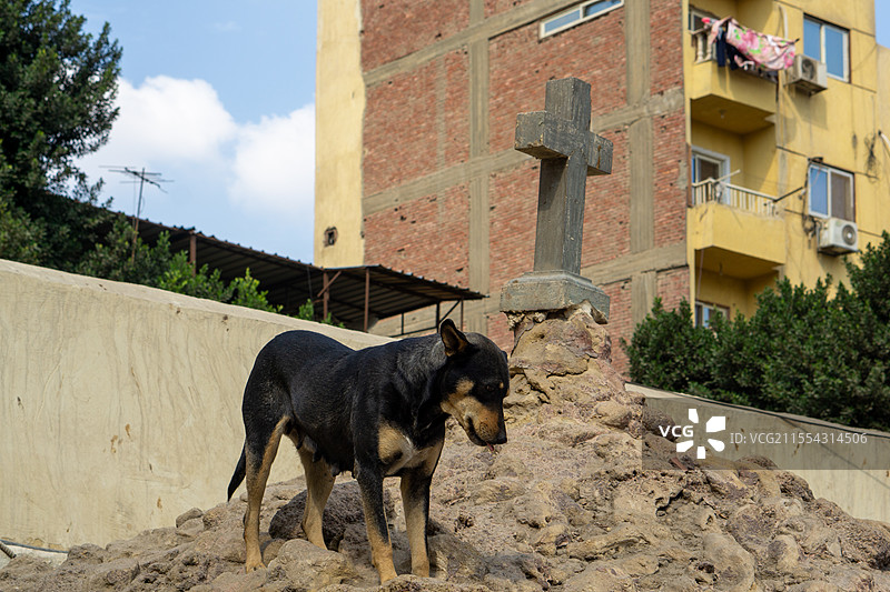 小狗与十字架图片素材