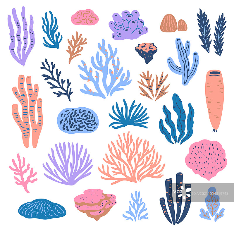 大规模的珊瑚和海藻孤立设计图片素材