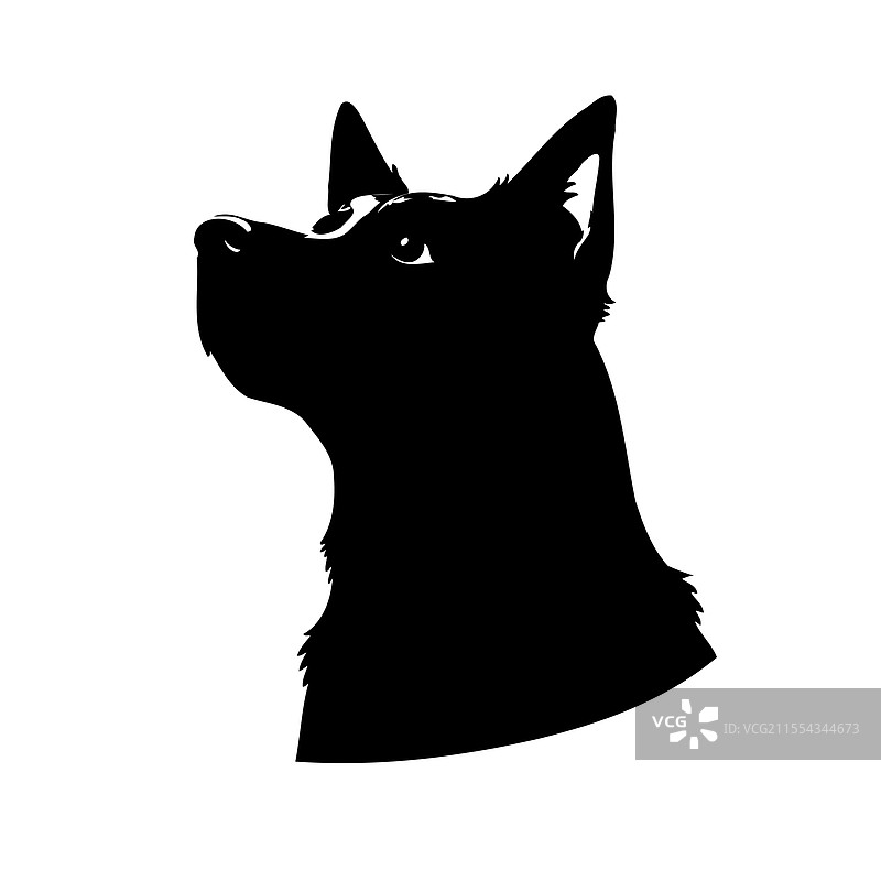 黑色轮廓的狗向上看图片素材