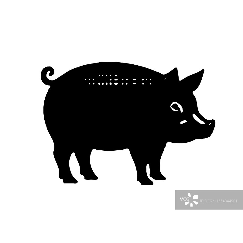 黑猪剪影与白色背景图片素材