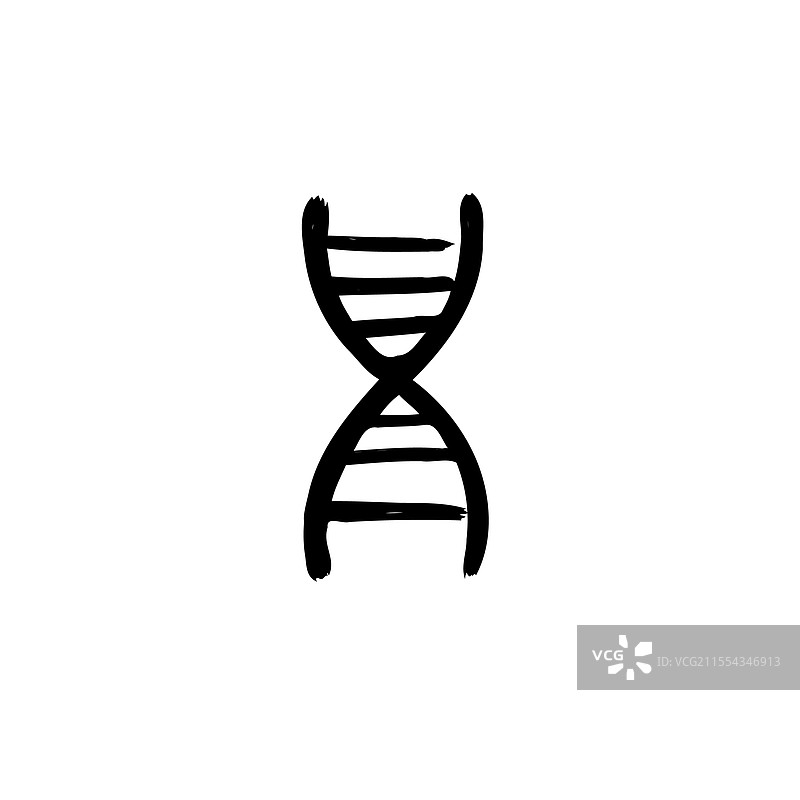 手绘的DNA双螺旋结构图片素材