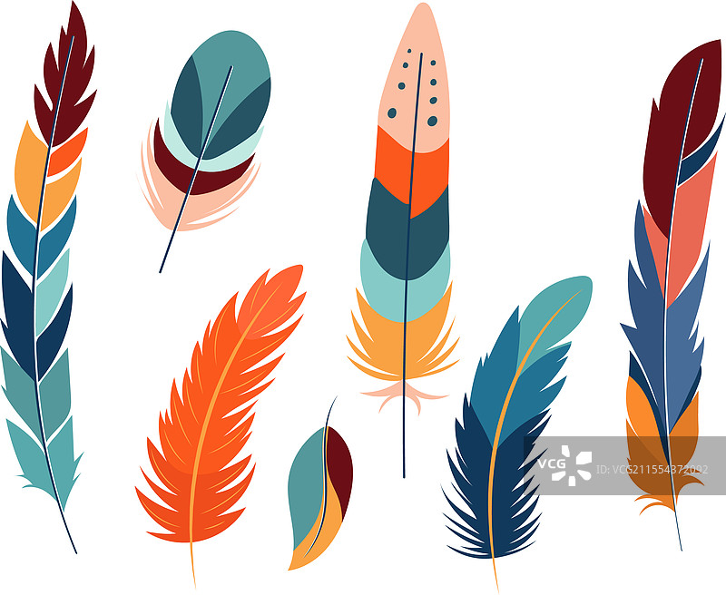 平面风格的鸟羽毛集合图片素材