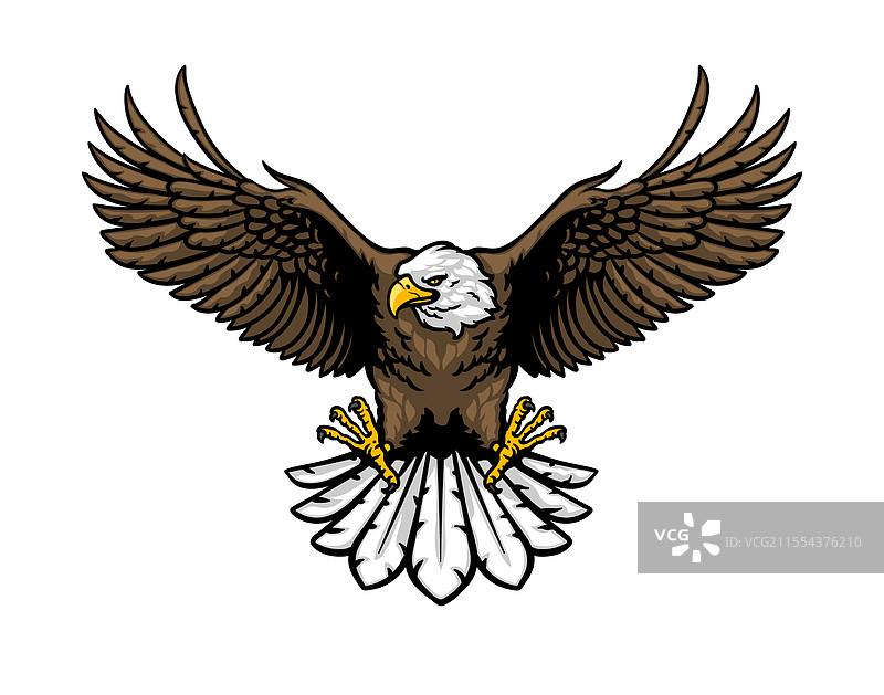 鹰在拍打翅膀图片素材